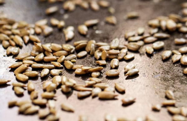 A closeup shot of sunflower seeds, roasted, on a baking sheet.