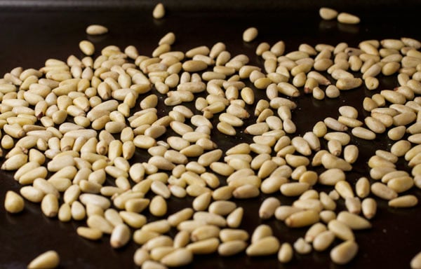 A baking sheet covered with raw pine nuts.