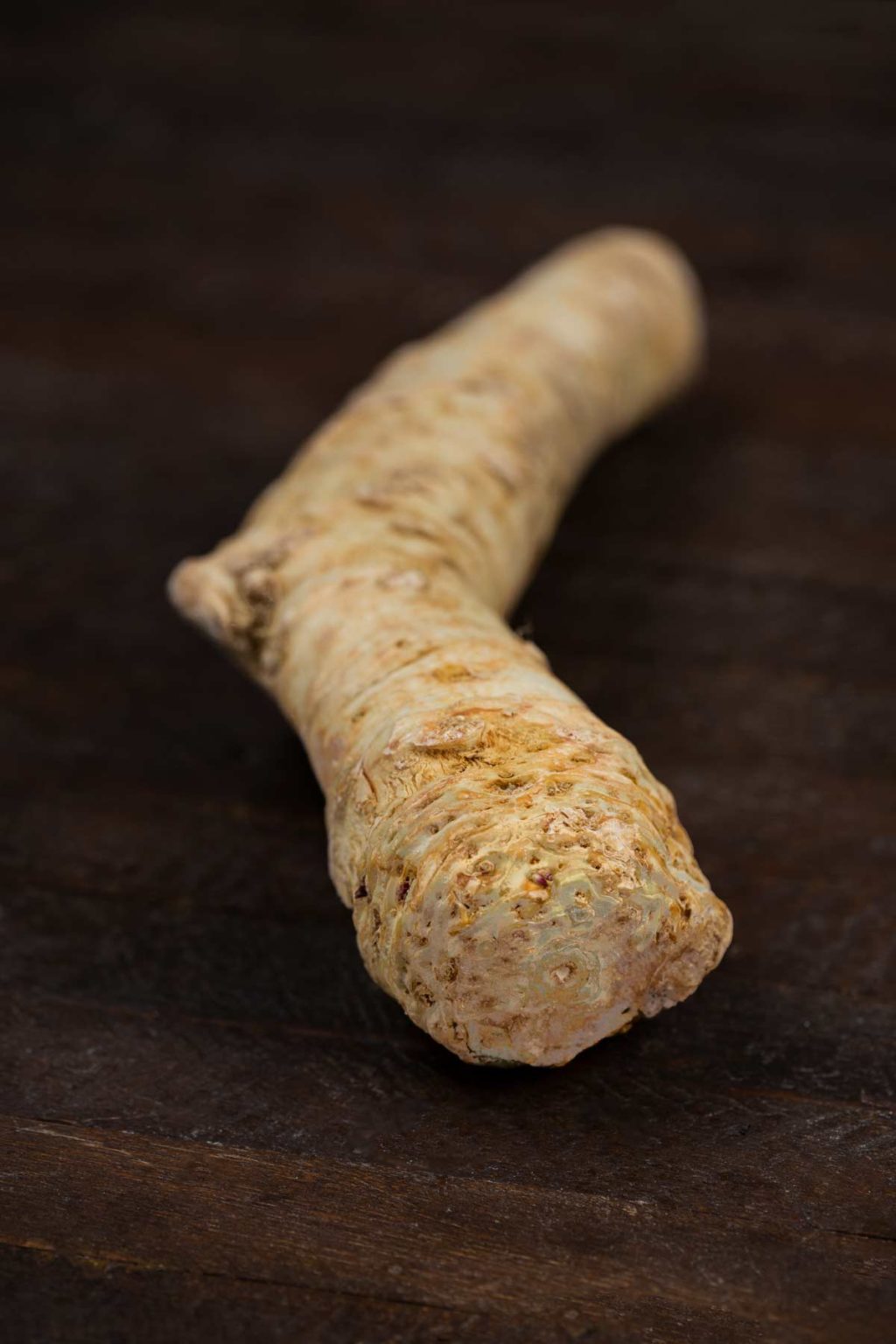 Horseradish Sauce (in 10 minutes!) Veggie Chick