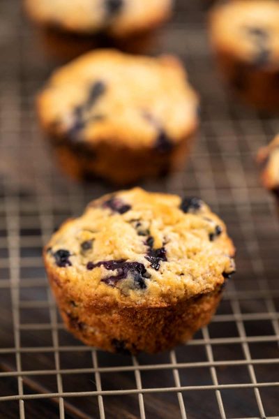 Blueberry Muffins (Vegan) - Veggie Chick
