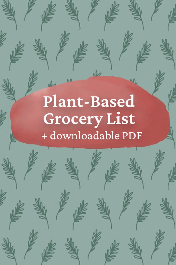 A colorful leaf background and text that says "Plant Based Grocery List" + downloadable PDF