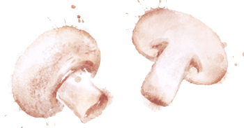 A watercolor image of mushrooms.